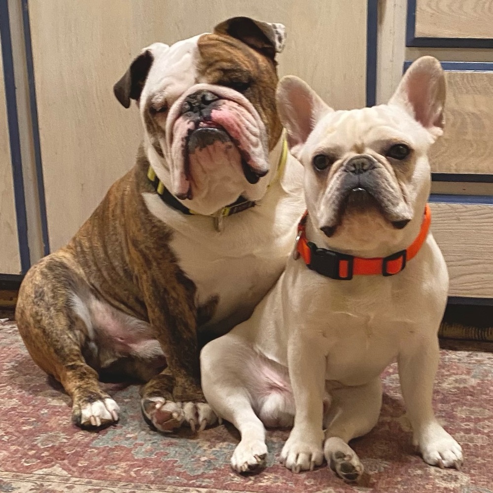 Meet your Posher, L S